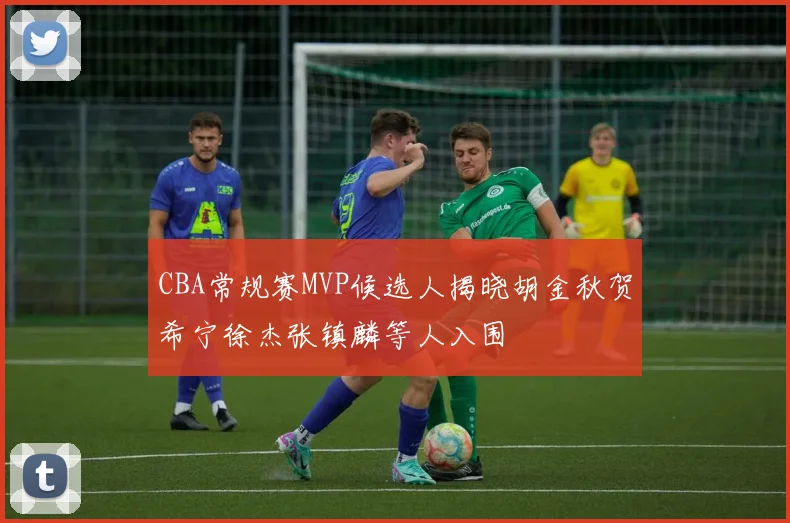CBA常规赛MVP候选人揭晓胡金秋贺希宁徐杰张镇麟等人入围