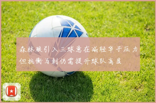 森林狼引入三球意在减轻华子压力但抗衡马刺仍需提升球队高度