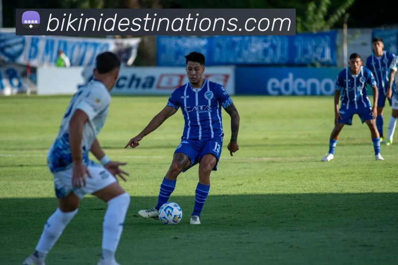 App 展示图